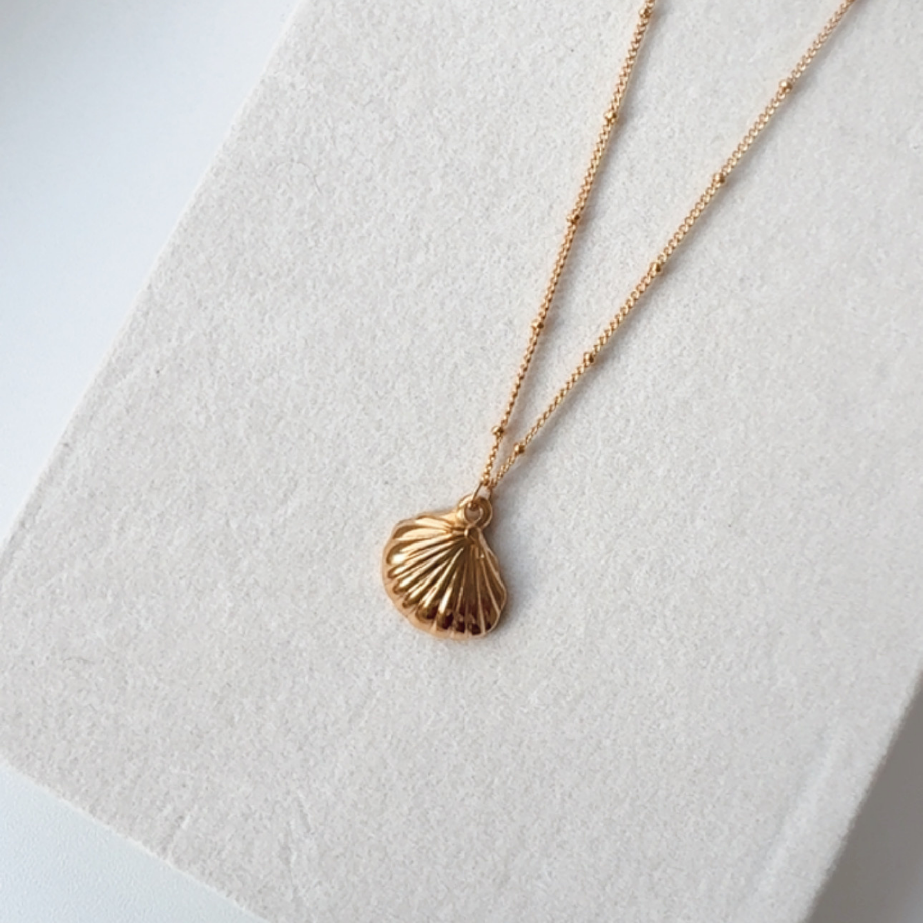 Shell textured Necklace