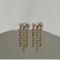 Multi Zirconia Tassel Earrings