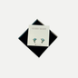 Delphine Studs