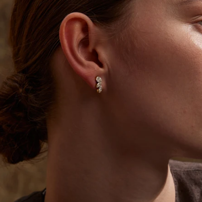 Mini Wings Cz's Studs